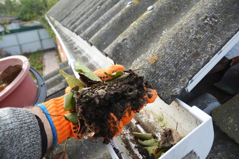 Roof Gutter Cleaning in Frederick, MD
